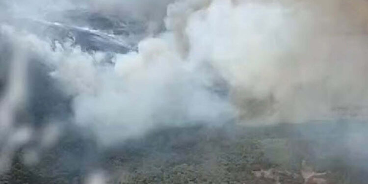 İzmir'de çöplükte çıkan yangın, ormana sıçradı