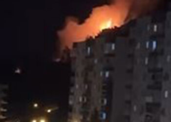 İzmir'in Gaziemir ilçesinde orman yangını çıktı