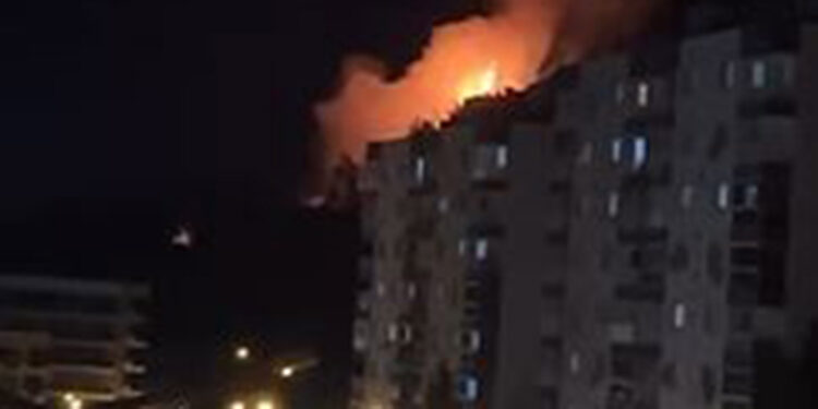 İzmir'in Gaziemir ilçesinde orman yangını çıktı