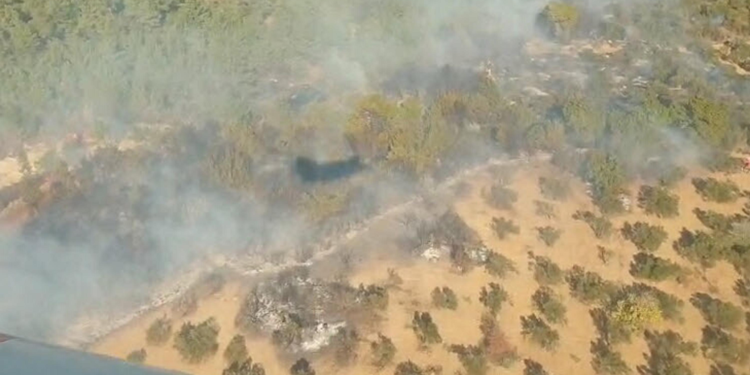 İzmir'in Kınık ilçesinde orman yangını çıktı