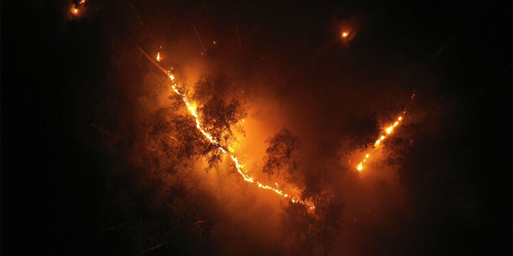 Kütahya'nın Tavşanlı ilçesinde orman yangını