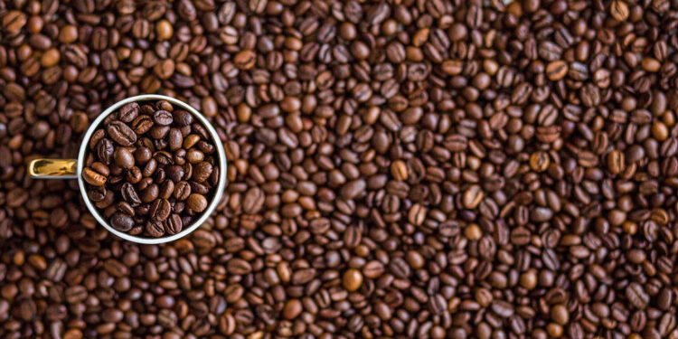 Kafein tüketimi Alzheimer riskini azaltıyor