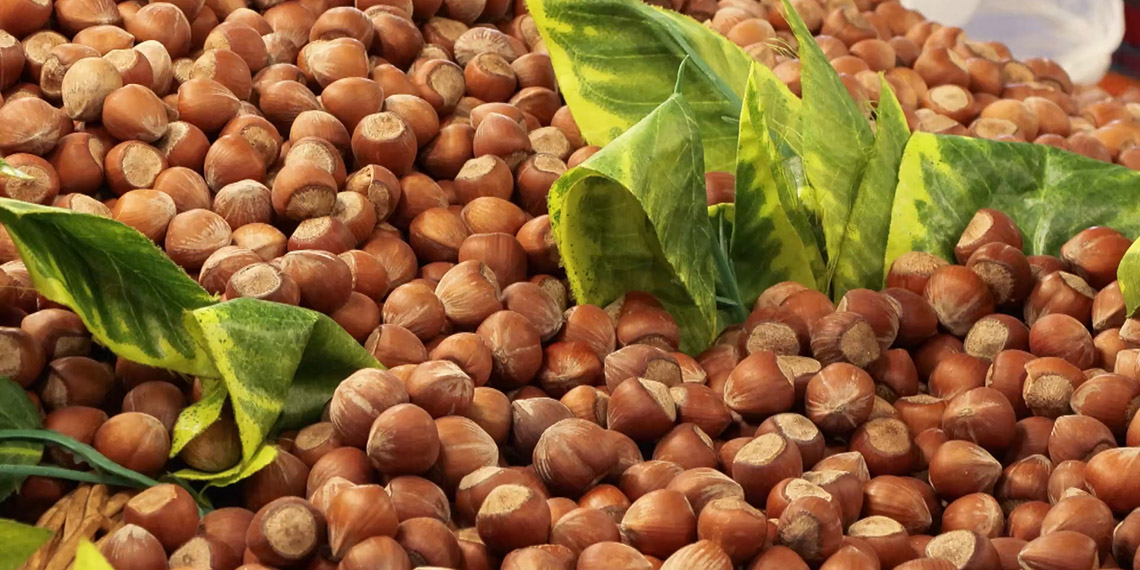 Kağıthane’de Giresun Tanıtım Günleri başladı