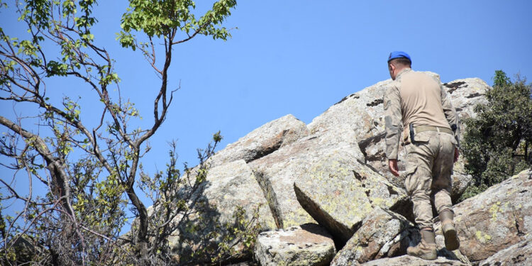 Kırıkkale'de kayıp kadını arama çalışmaları 13'üncü gününde