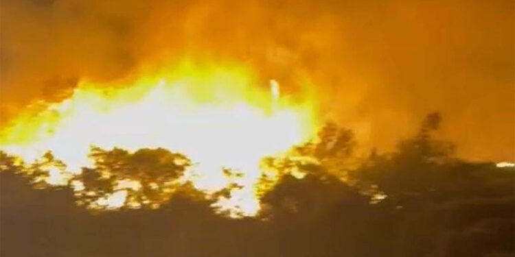 Marmaris'te çıkan orman yangını 1 saatte kontrol altına alındı