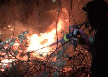 Mersin'de orman yangını; 5 hektar zarar gördü
