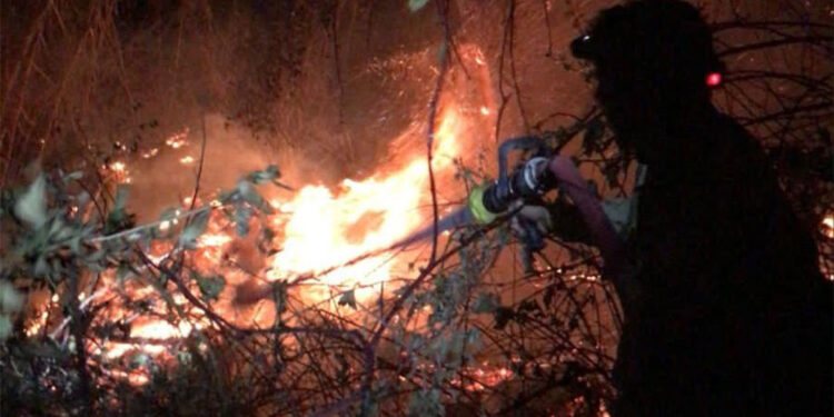 Mersin'de orman yangını; 5 hektar zarar gördü