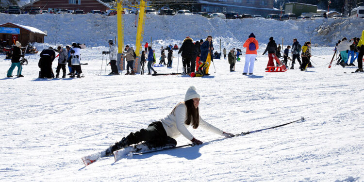 Uludağ kayak pistlerinde koyunlar otluyor
