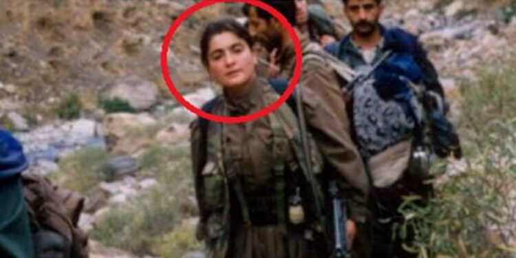 MİT'ten PKK'nın Avrupa yapılanmasına darbe