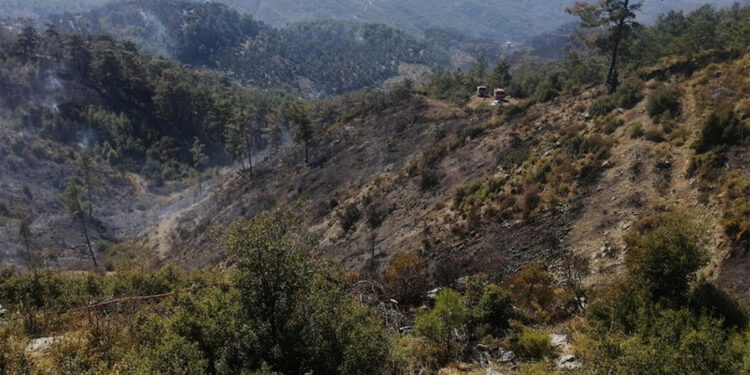 Çanakkale'de ormanlara giriş yasağı uzatıldı