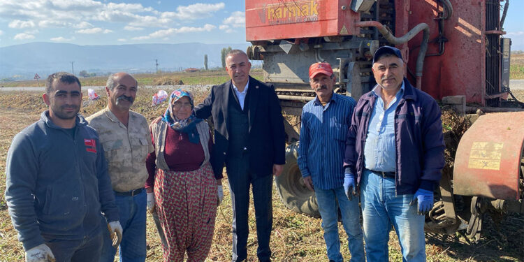 Pancar üreticisi zarar etti