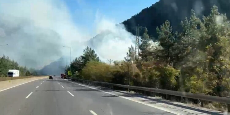 Mersin'in Tarsus ilçesinde orman yangını çıktı