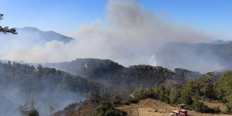 Muğla'nın 2 ilçesinde orman yangınlarına müdahale sürüyor