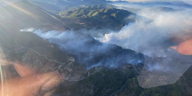 Muğla'nın 3 ilçesinde orman yangını; alevlere müdahale sürüyor