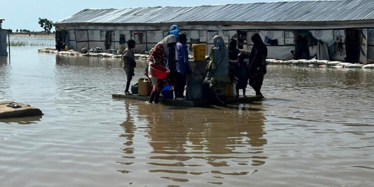 Nijerya'daki selden 2 milyondan fazla kişi etkilendi