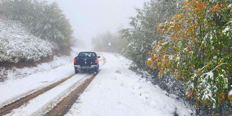 Ordu'nun yüksek kesimlerinde kar yağışı