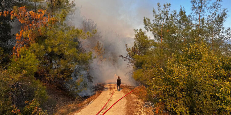 Osmaniye'nin Kadirli ilçesinde orman yangını