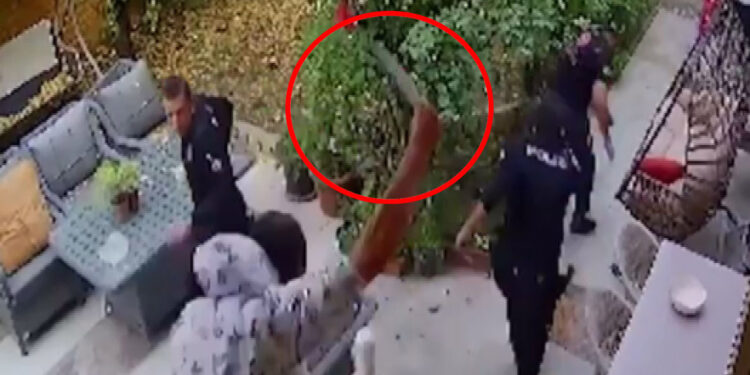 Polisi yaralayan saldırgan, son 9 ayda 10 suça karışıp serbest kalmış