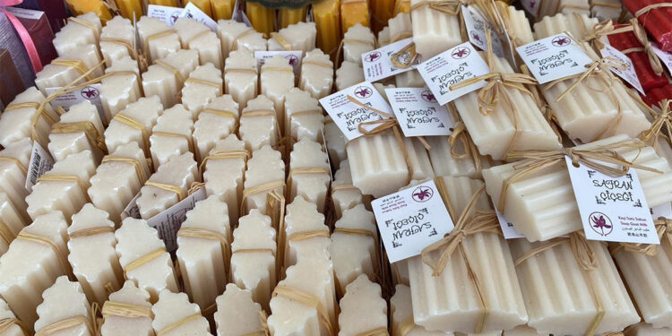 Safran bitkisi çiçek açtı; kilosu 320 bin lira