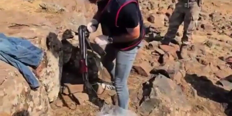 Şanlıurfa'da silah kaçakçılığı operasyonu