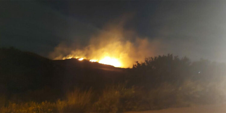 Seferihisar Akarca Mahallesi'nde orman yangını