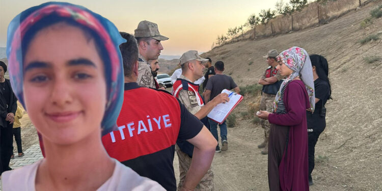Siirt'te kaybolan 14 yaşındaki Berfin aranıyor