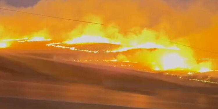 Siirt'te anız yangını; 8 bin dönümlük alan yandı
