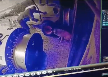 Sokak köpeğini sopayla öldürdü; o anlar kamerada