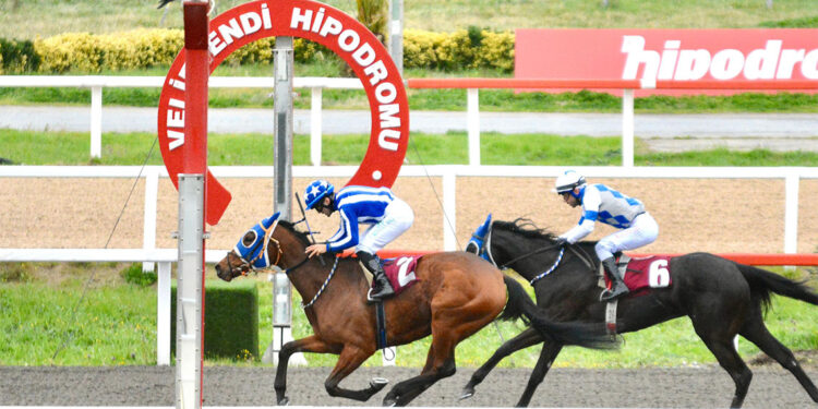 Türkiye'deki at yarışları dünya arenasına açılıyor