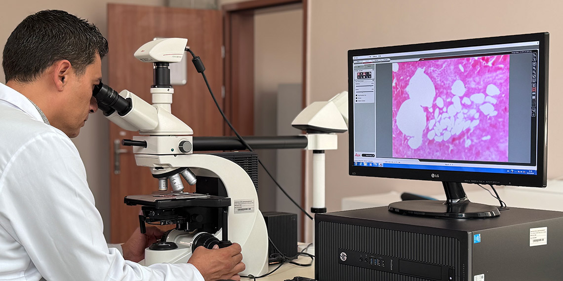 Taklit ve tağşişin ifşasıyla tüketici korunuyor