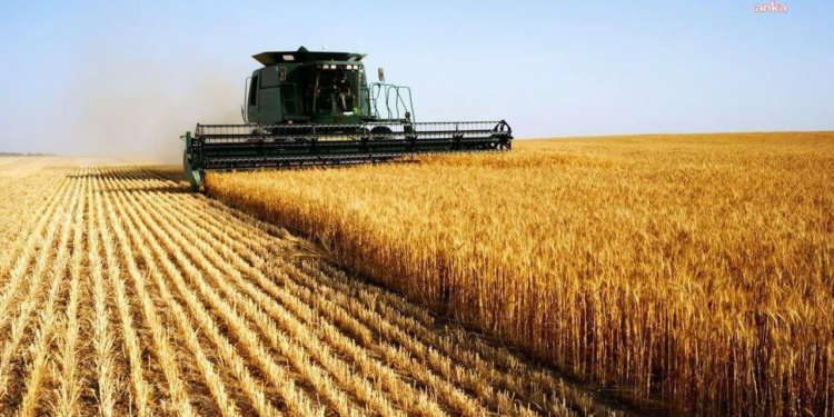 Tarla üretimi azalacak, meyve-sebze üretimi artacak