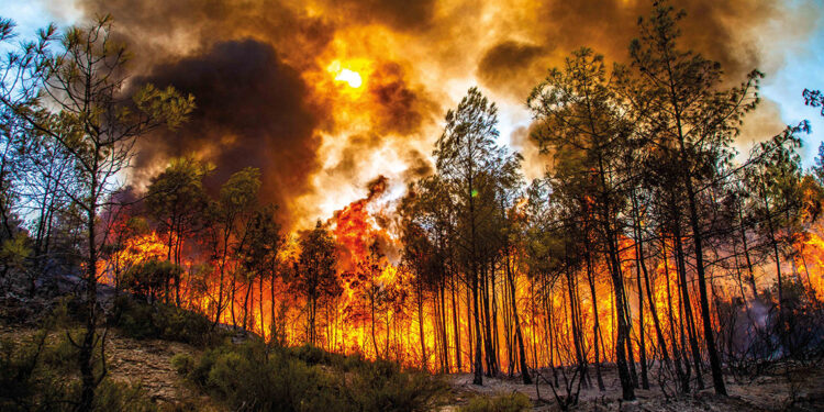 Türkiye'nin Canı Yanmasın Destek Programı'nda 3 proje daha tamamlandı