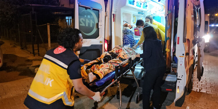 Uykudaki annesi ve anneannesini öldürdü