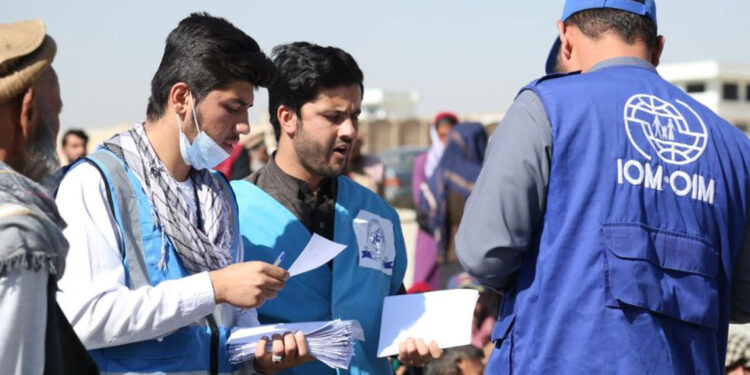 Uluslararası Göç Örgütü’nden acil durum çağrısı
