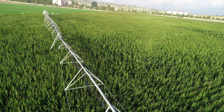 Uydu sistemleri görüntü gönderecek, ihtiyaca göre sulama yapılacak