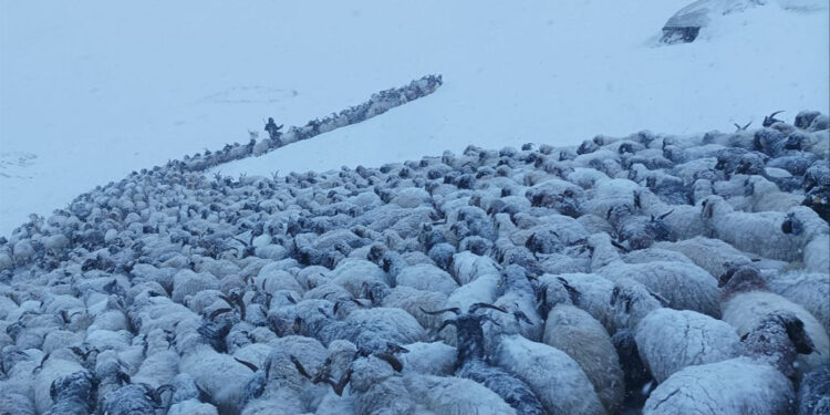 Van'ın İran sınırında kar kalınlığı 20 santimetreye ulaştı