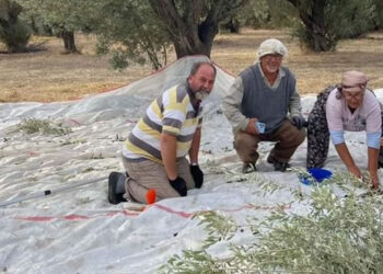 Bir Başarı Hikayesi; Sezai Öz
