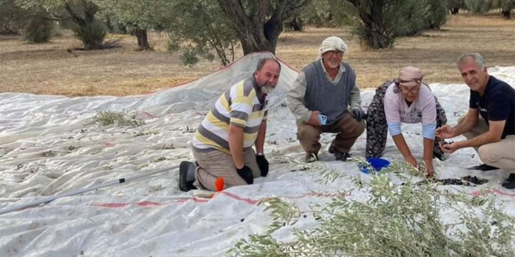 Bir Başarı Hikayesi; Sezai Öz