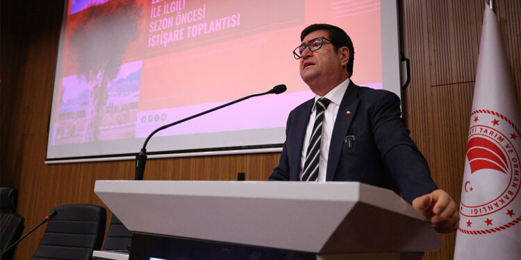 Muğla'da zeytinyağı mevsimi başladı