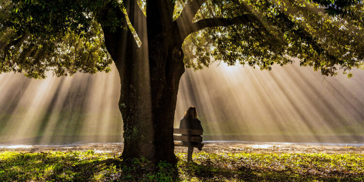 Her yerde olmak ama hiçbir yerde olmamak