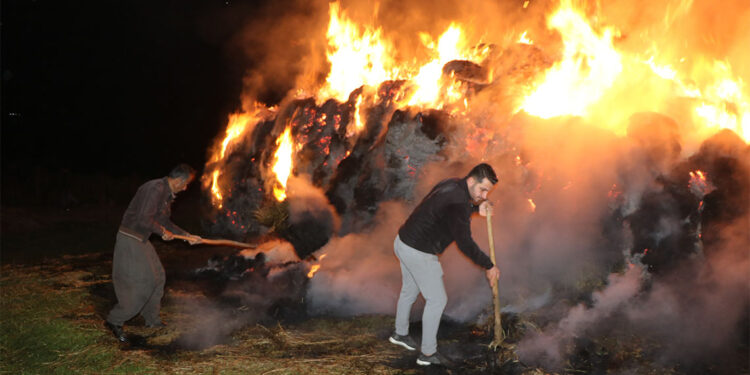 Yüksekova'da 15 bin bağ ot ile 20 ton saman yandı; 1 gözaltı