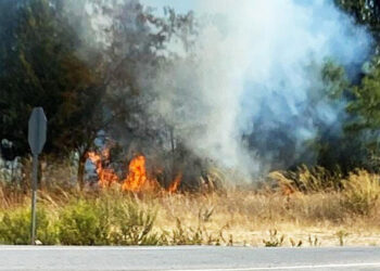 Yatağan'da çıkan orman yangını, büyümeden söndürüldü