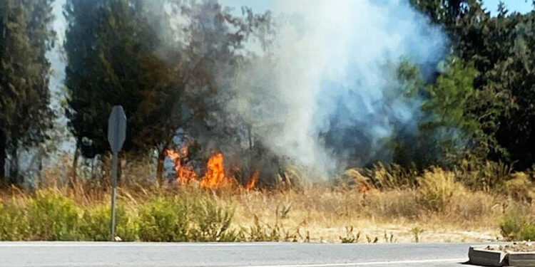 Yatağan'da çıkan orman yangını, büyümeden söndürüldü