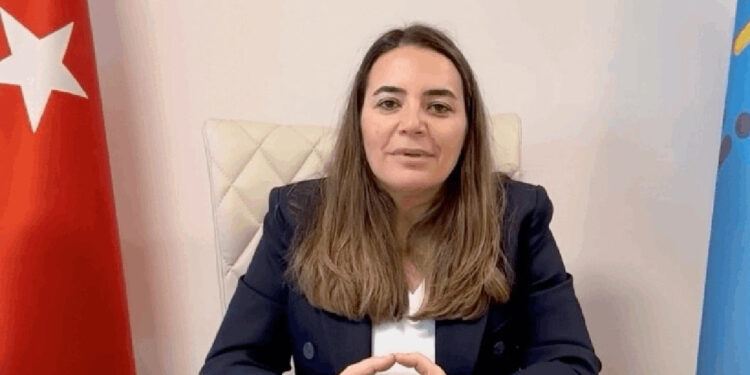 Bebek katilini meclise sokmak kimsenin haddi değildir