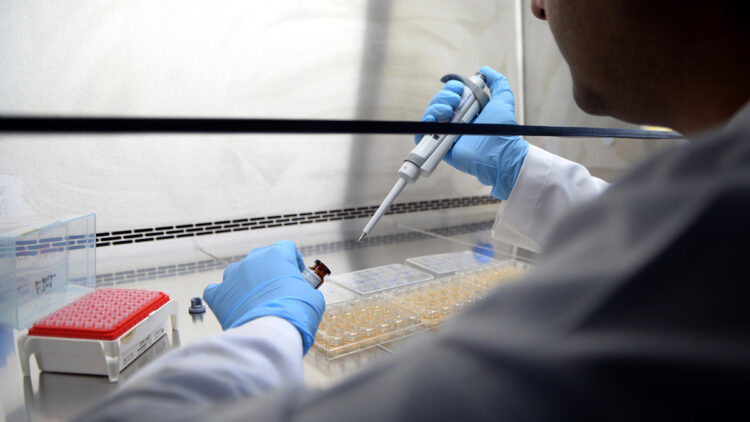 Mevsimine uygun sebze ve meyve tüketimi kanser riskini azaltabilir