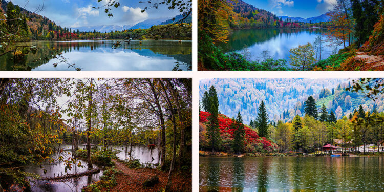 Karagöl'de sonbahar