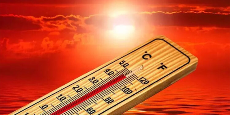 El Nino Güney Afrika'da açlık krizine yol açtı