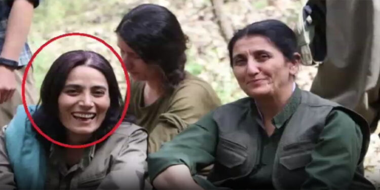 PKK/KCK'nın sözde toplumsal alan sorumluları öldürüldü