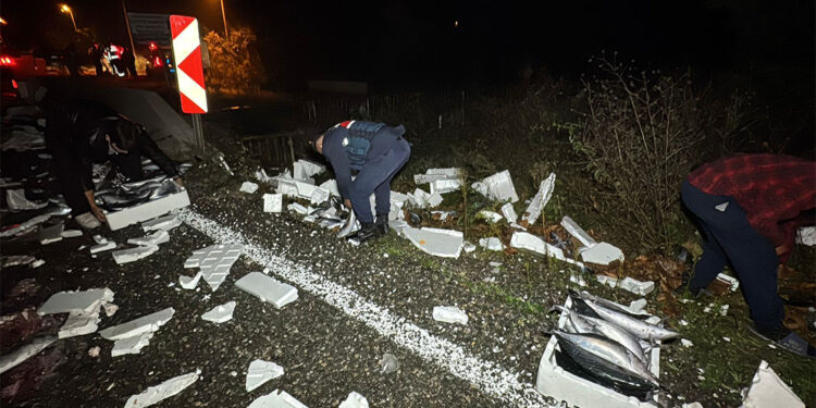 300 kasa palamut yola savruldu