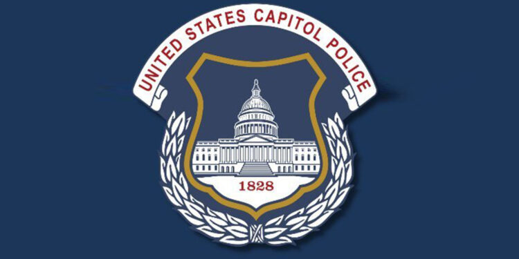 ABD Kongre Binası'nda bir kişi meşale ve işaret fişeği ile yakalandı